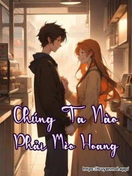 Chúng Ta Nào Phải Mèo Hoang
