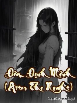 Bìa truyện Đêm Định Mệnh (After The Night)