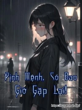 Định Mệnh, Có Bao Giờ Gặp Lại!