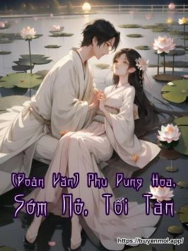 [Đoản Văn] Phù Dung Hoa, Sớm Nở, Tối Tàn