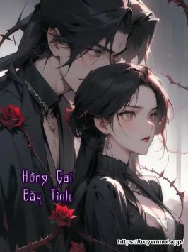 Hồng Gai Bẫy Tình
