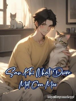 Sau Khi Nhặt Được Một Con Mèo