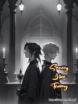 Snarry Hiện Trường
