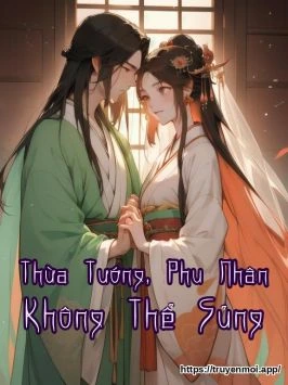 Thừa Tướng, Phu Nhân Không Thể Sủng