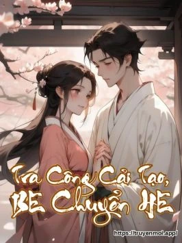 Bìa truyện Tra Công Cải Tạo, BE Chuyển HE