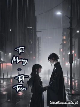Trí Mạng - Tiết Trần