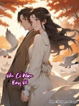 Vẫn Có Nhạn Bay Về